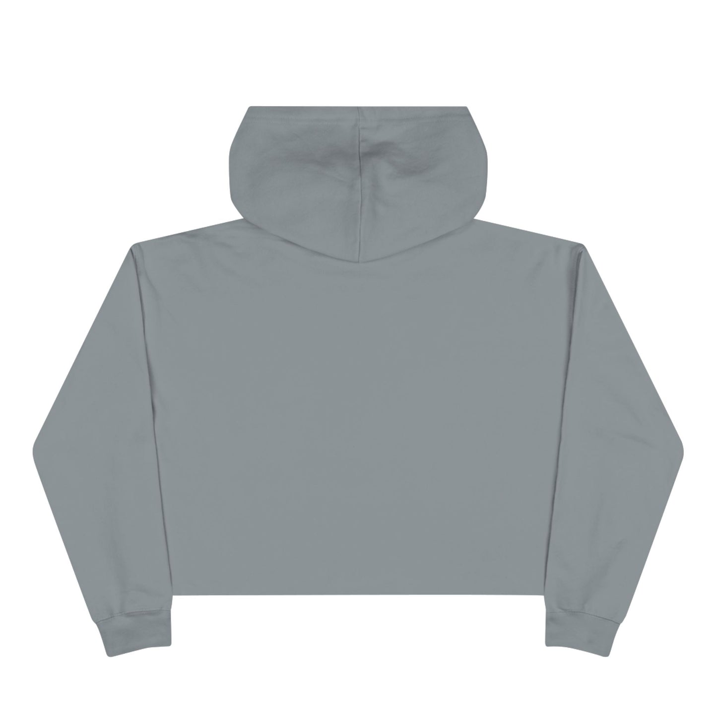 Stop Voting Stupid – Unisex Cropped Protest Hoodie (Size XS-L)