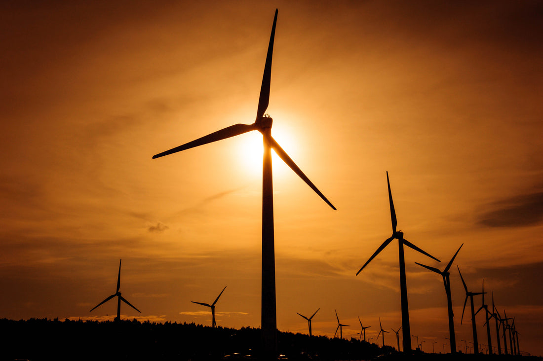 Climate Week Breaks Records As Washington Moves to Cancel $13B in Clean-Energy Funds