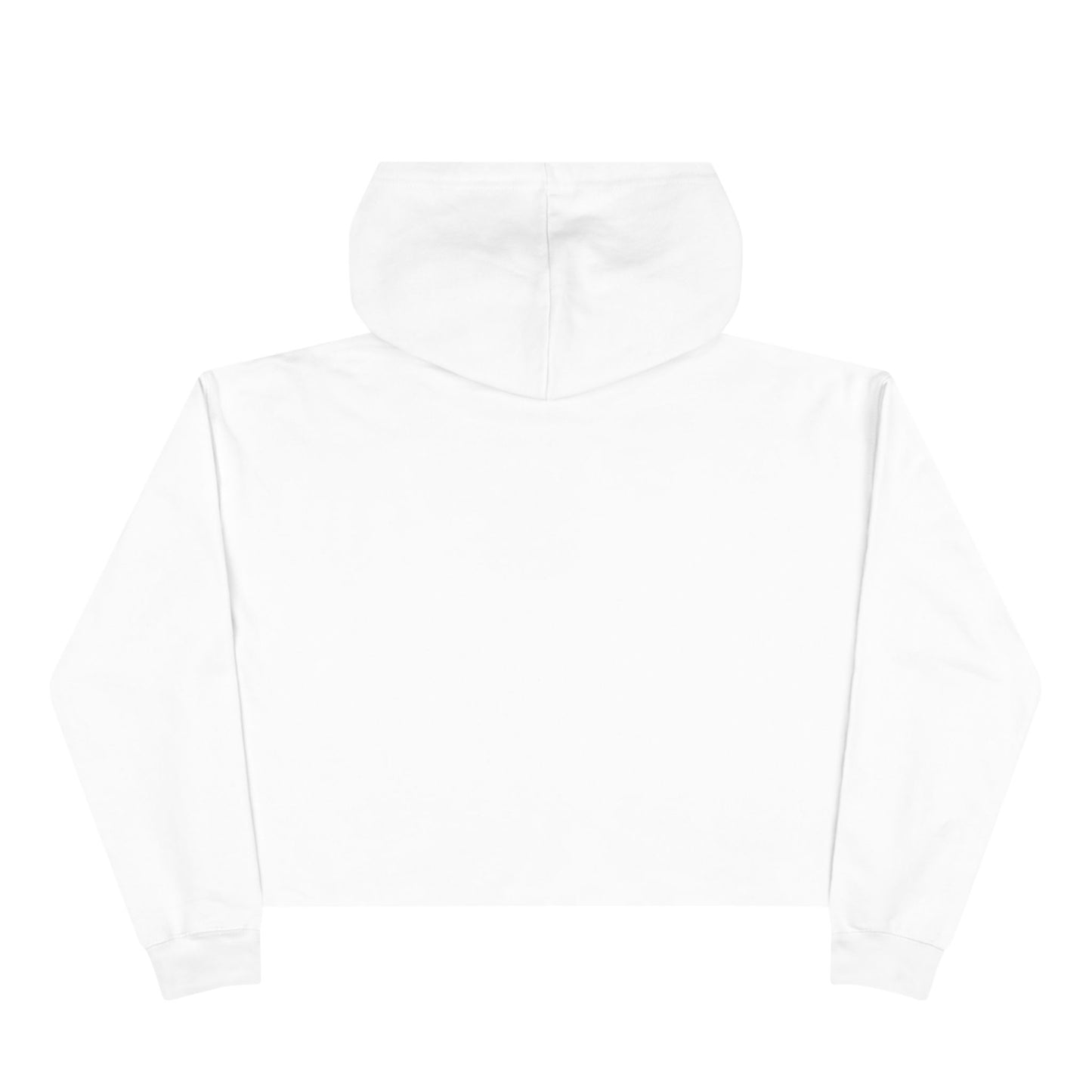 Stop Voting Stupid –  Unisex Cropped Protest Hoodie (Size XS-L)