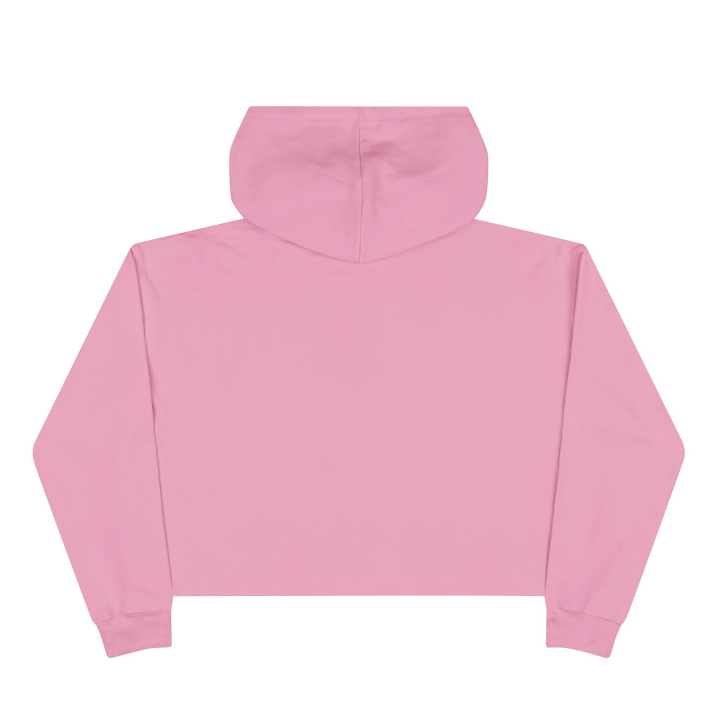 Stop Electing Predators –  Unisex Cropped Protest Hoodie (Size XS-L)